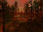 Forest Fire at Days End